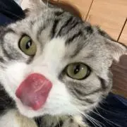 ちゃんそん