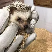 あ み