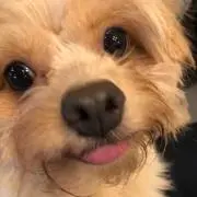 なおなお