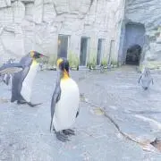 あおの画像