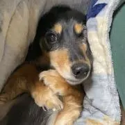 rrrrinの画像