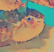 ハリセンボン