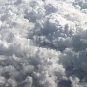 たつはじめの画像