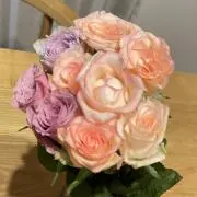 ココ☆