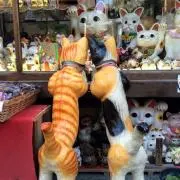 chireの画像