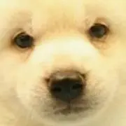 MIKI