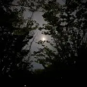 ななの画像