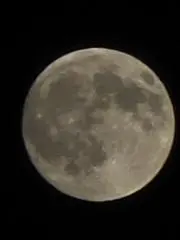 誠心極生の画像