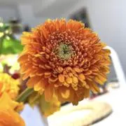 パンの画像