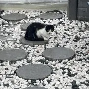 ノブヒロの画像