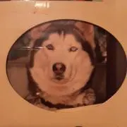 メリー