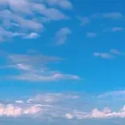 amaneの画像