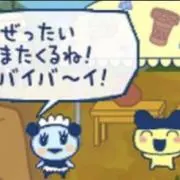 やわの画像