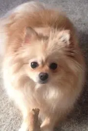 ゆん