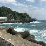 しょうよん