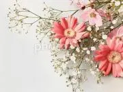 spring✤flowerの画像