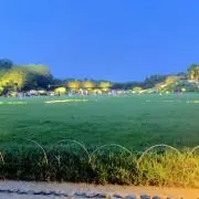 タケの画像