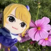 さくらんぼの画像