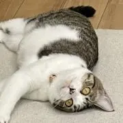 Tak.の画像