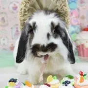 ふじさわみくの画像