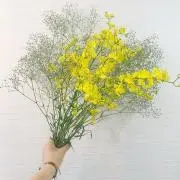 miの画像