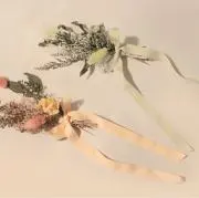 ラドンの画像