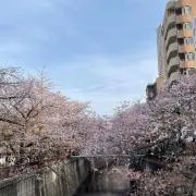 うみの画像