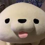 miroの画像