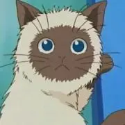 カルピン