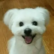 u1の画像