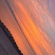 しょうの画像
