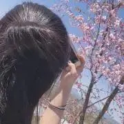 funakoの画像