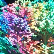 メリー