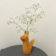 どんぐりの画像