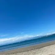 $の画像