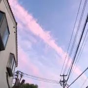 42の画像