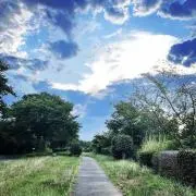 コレクション出品✨ＫＪ