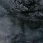 fuku