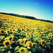 ベリー断捨離中❗️の画像