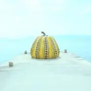 ミズハズの画像