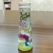 ぽんの画像