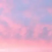 おもち【断捨離中】の画像
