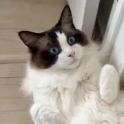 みさきの画像