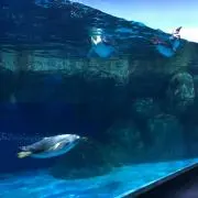 ranroの画像