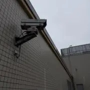 Miiiiiiiiの画像