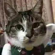 JUN☆レッドバイオレット♡