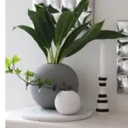 satokoの画像
