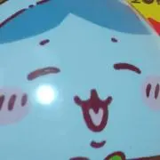 カモメの画像