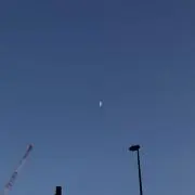 さめの画像