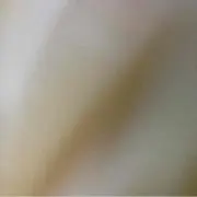 ゆま